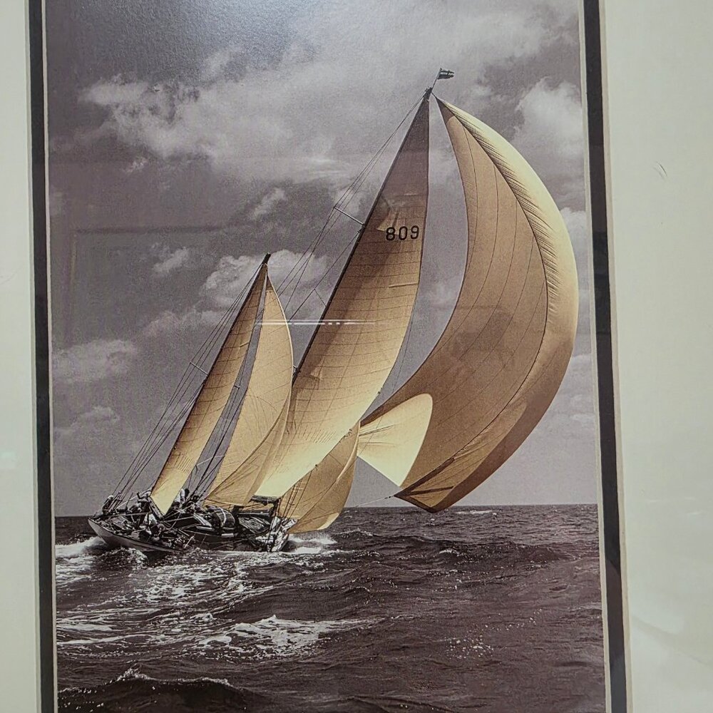 The Rosenfeld Collection - Picture 2 of 7